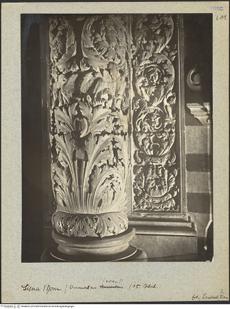 Vorderseite von bh044555_recto