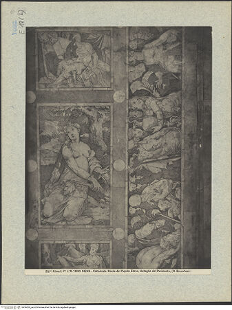 Vorderseite von bh044569_recto