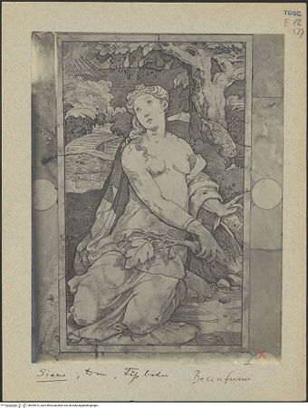 Vorderseite von bh044573_recto