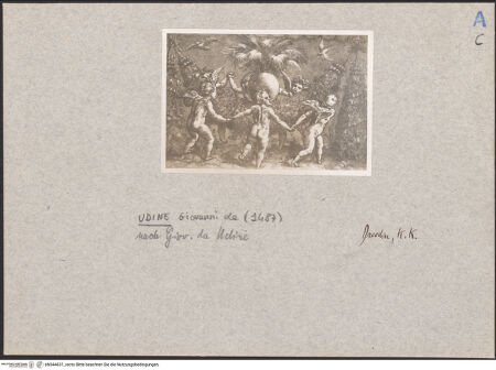 Vorderseite von bh044631_recto