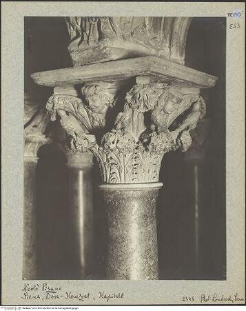 Vorderseite von bh044647_recto