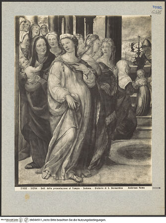 Vorderseite von bh044911_recto