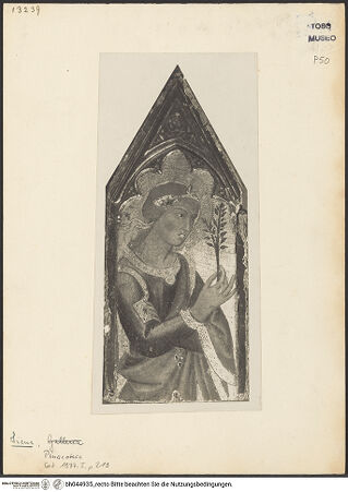 Vorderseite von bh044935_recto