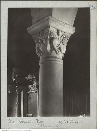 Vorderseite von bh044966_recto