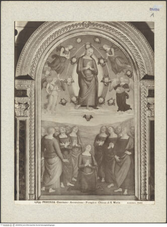 Vorderseite von bh045054_recto