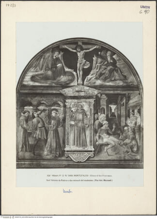 Vorderseite von Alinari [https://www.deutsche-digitale-bibliothek.de/content/lizenzen/rv-ez/] Szenen aus dem Leben des Heiligen Antonius von Padua - Gesamtansicht, bh045193_recto. Foto.