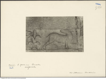 Vorderseite von bh045245_recto