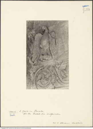 Vorderseite von bh045248_recto