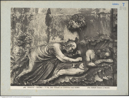 Vorderseite von bh045291_recto