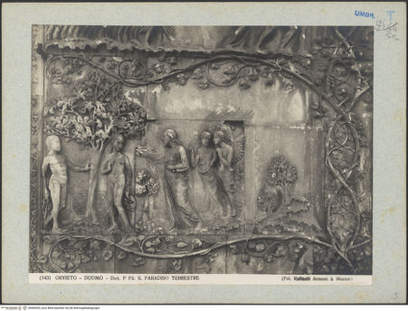 Vorderseite von bh045293_recto