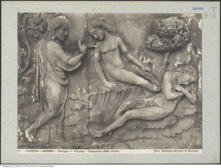 Vorderseite von bh045294_recto