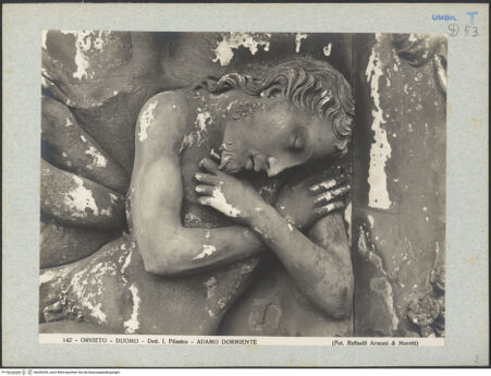 Vorderseite von bh045295_recto