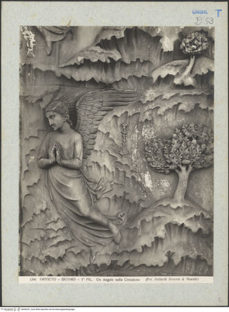 Vorderseite von bh045297_recto