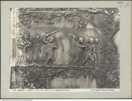 Vorderseite von bh045299_recto