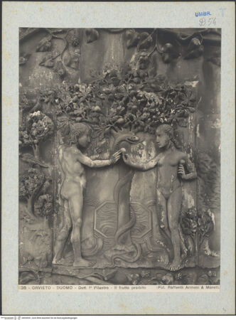 Vorderseite von bh045301_recto