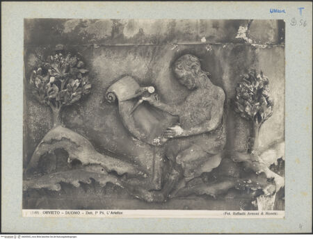 Vorderseite von bh045302_recto