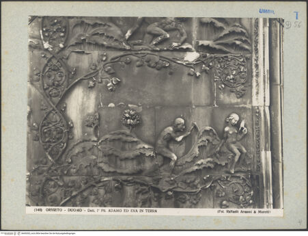 Vorderseite von bh045303_recto