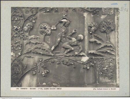 Vorderseite von bh045306_recto