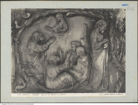 Vorderseite von bh045319_recto