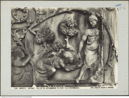 Vorderseite von bh045339_recto