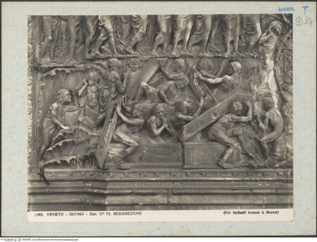 Vorderseite von bh045351_recto