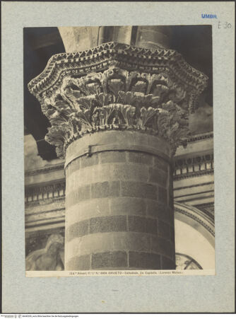 Vorderseite von bh045359_recto