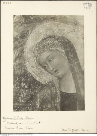 Vorderseite von bh045374_recto