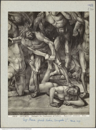 Vorderseite von bh045435_recto