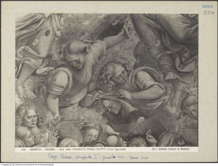 Vorderseite von bh045444_recto