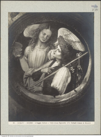 Vorderseite von bh045466_recto