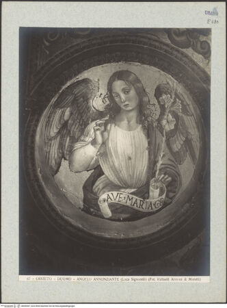 Vorderseite von bh045467_recto