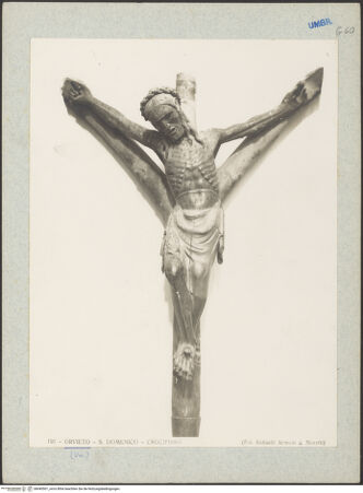 Vorderseite von bh045501_recto