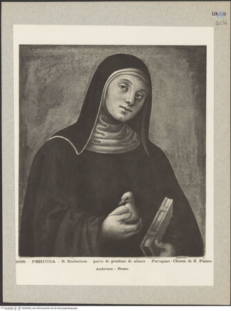 Vorderseite von bh045684_recto