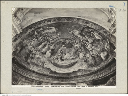 Vorderseite von bh045904_recto