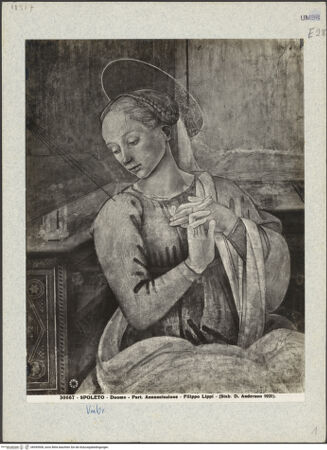 Vorderseite von bh045908_recto