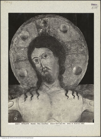 Vorderseite von bh045924_recto