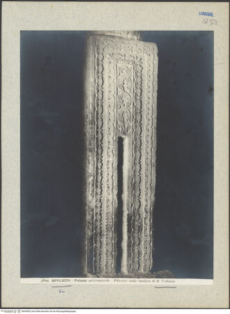 Vorderseite von bh045936_recto