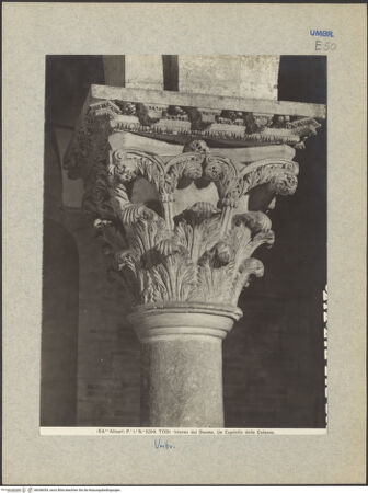 Vorderseite von bh046054_recto