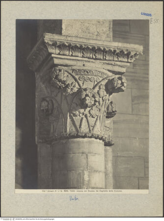 Vorderseite von bh046058_recto