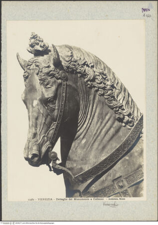 Vorderseite von bh046277_recto