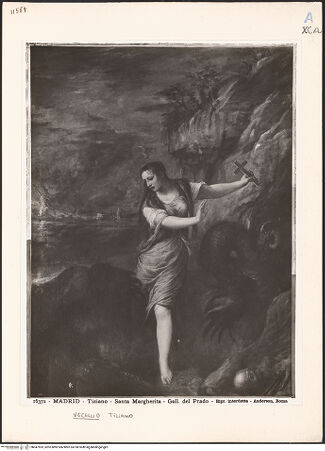 Vorderseite von bh047593_recto