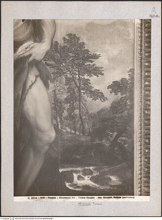 Vorderseite von bh047646_recto