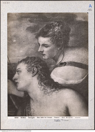 Vorderseite von bh047662_recto