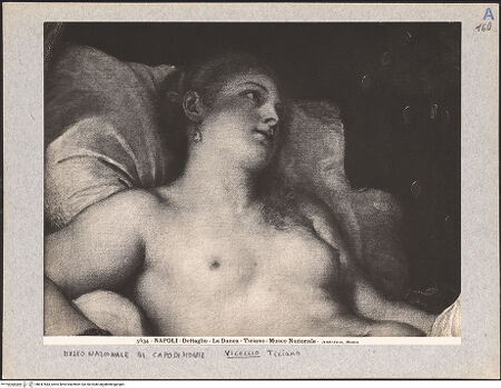 Vorderseite von bh047683_recto