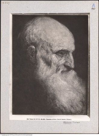 Vorderseite von bh047687_recto