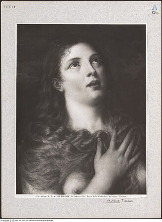 Vorderseite von bh047689_recto