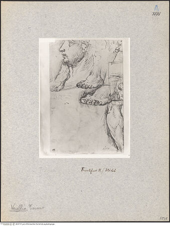 Vorderseite von bh047741_recto