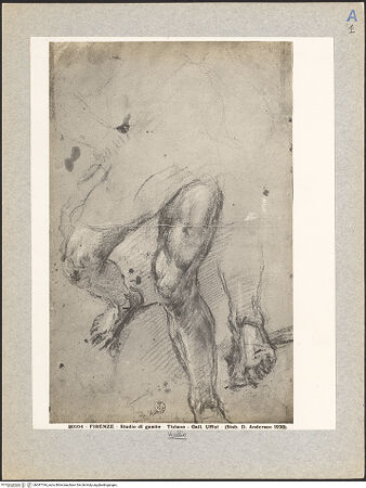 Vorderseite von bh047744_recto