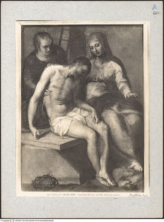 Vorderseite von bh049007_recto