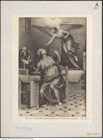 Vorderseite von bh049008_recto